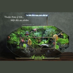 Terrarium 305 - Thuận Theo Ý Trời, Một Đời An Nhiên