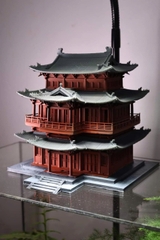 Triều căn đình cổ - Phụ Kiện Aquagarden