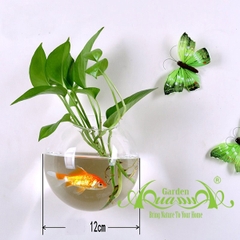 Set Áp Tường 11 - Trầu Bà