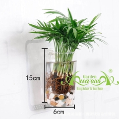 Set Áp Tường 12 - Cau Tiểu Trâm