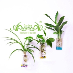 Trụ Vuông - Thủy Tinh Áp Tường