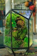 Terrarium 23- Lucky Totoro