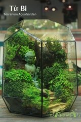 Terrarium 02 - Từ Bi