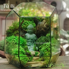 Terrarium 02 - Từ Bi