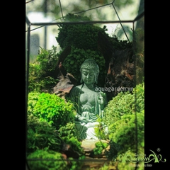 Terrarium 02 - Từ Bi
