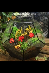 Terrarium 16 - Tuế Tuế Bình An Nhật