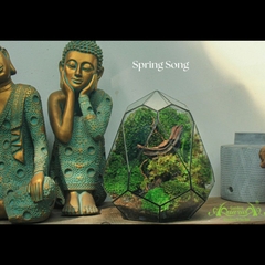 Terrarium 07 - Spring Song