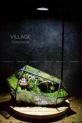 Terrarium 233 - Village