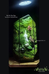 Terrarium 338 -  Vô Vi Tự Tại