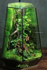 Terrarium 292 - Wonder