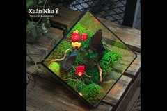 Terrarium 13 - Xuân Như Ý