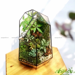 Terrarium 39 - Khu Vườn Nhà Kính