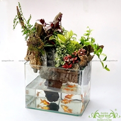 Terrarium 22 - Thác Nước