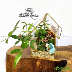 Terrarium 27 - Đưa Em Về Thanh Xuân