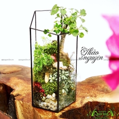 Terrarium 08 - Đồi Thảo Nguyên