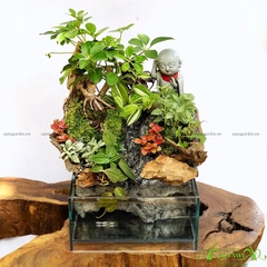 Terrarium 24 - Thác An Nhiên