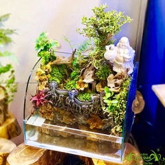 Terrarium 36 - Đồi Tiên Cảnh