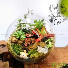 Terrarium 12 - Hạnh Phúc Giản Đơn