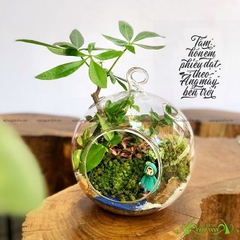 Terrarium 28 - Cô Gái Mộng Mơ