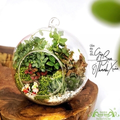 Terrarium 11 - Gặp Bạn Ở Thanh Xuân