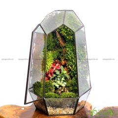 Terrarium 120 - Thanh Sắc