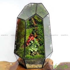 Terrarium 120 - Thanh Sắc