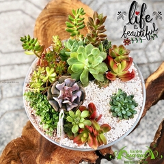 Terrarium 25 - Beautiful Life