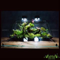 Terrarium 111 - Twins Moon Forest