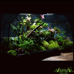 Terrarium 111 - Twins Moon Forest