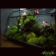 Terrarium 111 - Twins Moon Forest