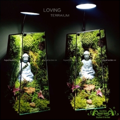 Terrarium 127 - Loving