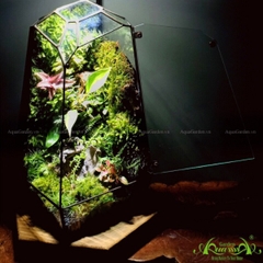 Terrarium 128 - Moon River