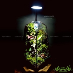 Terrarium 128 - Moon River