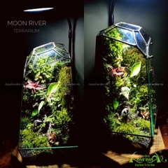 Terrarium 128 - Moon River