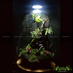 Terrarium 132 - Vorfreude