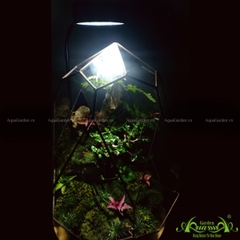 Terrarium 132 - Vorfreude
