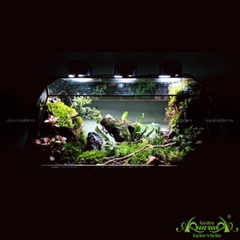 Terrarium 131 - Kairosclenrosis