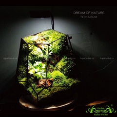 Terrarium 117 - Dream Of Nature