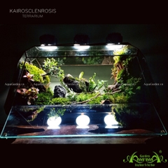 Terrarium 131 - Kairosclenrosis