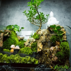 Terrarium 137 - Hồ Uyên Ương