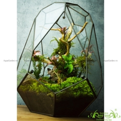 Terrarium 138 - Crystal Swan Egg