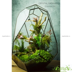 Terrarium 138 - Crystal Swan Egg