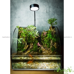 Terrarium 136 - Suối Tiên