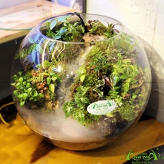 Terrarium 150 - Nơi Rừng Nhiệt Đới