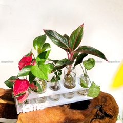 Set Mini 12 - HOME Bộ 5
