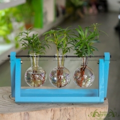 Như Ý - Bộ xích đu thủy canh - thủy canh Aquagarden