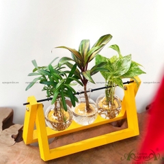 Tổng Hợp 03 - Xích Đu Bộ 3