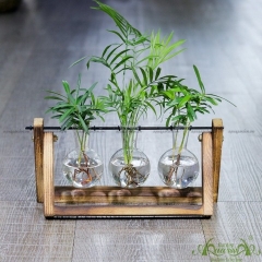 Như Ý - Bộ xích đu thủy canh - thủy canh Aquagarden