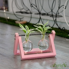 Phát Tài Viền Trắng - Bộ xích đu thủy canh - thủy canh Aquagarden