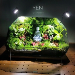 Terrarium 201 - Yên